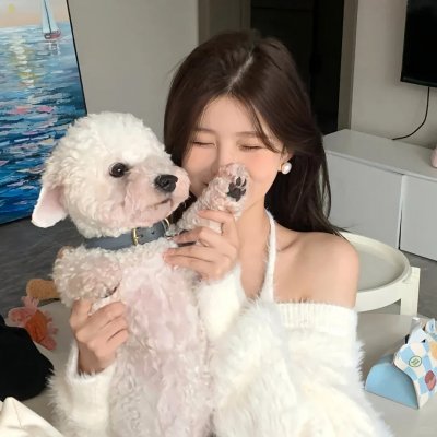 头头是路 海报