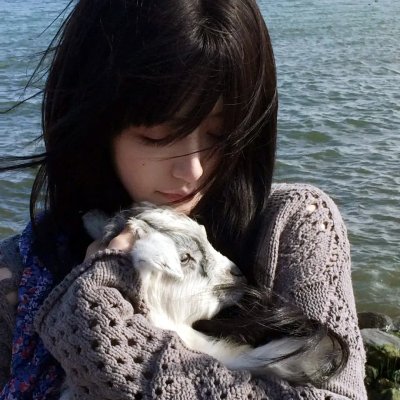好人、巴特和洛基 海报